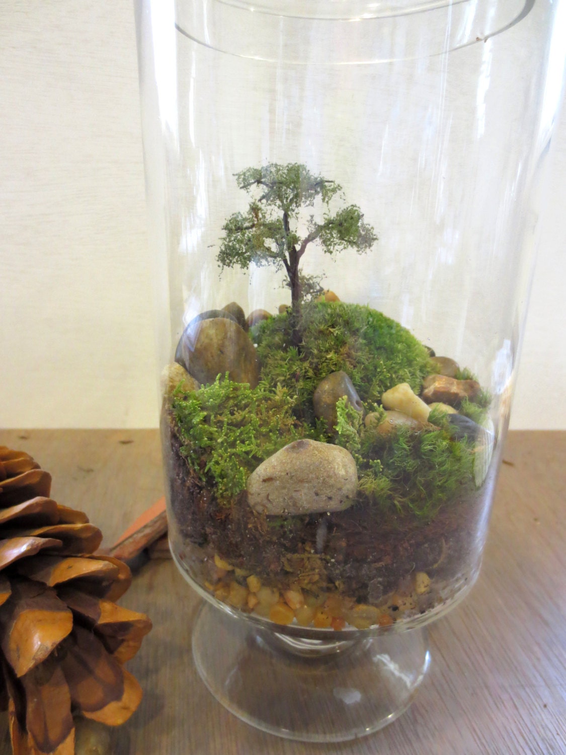 Long Ago and Far Away....Terrarium, Vibrant Moss Terrarium Indoor Garden Apartment Garden Live Moss Terrarium Miniature Landscape