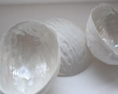 Big walnut shells made from stoneware fine bone china with a mother of pearl interior