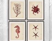 Vintage Sea Life - Set of 4 Art Prints - Scientific Illustrations - Red Coral, Octopus, Seahorse, Starfish -