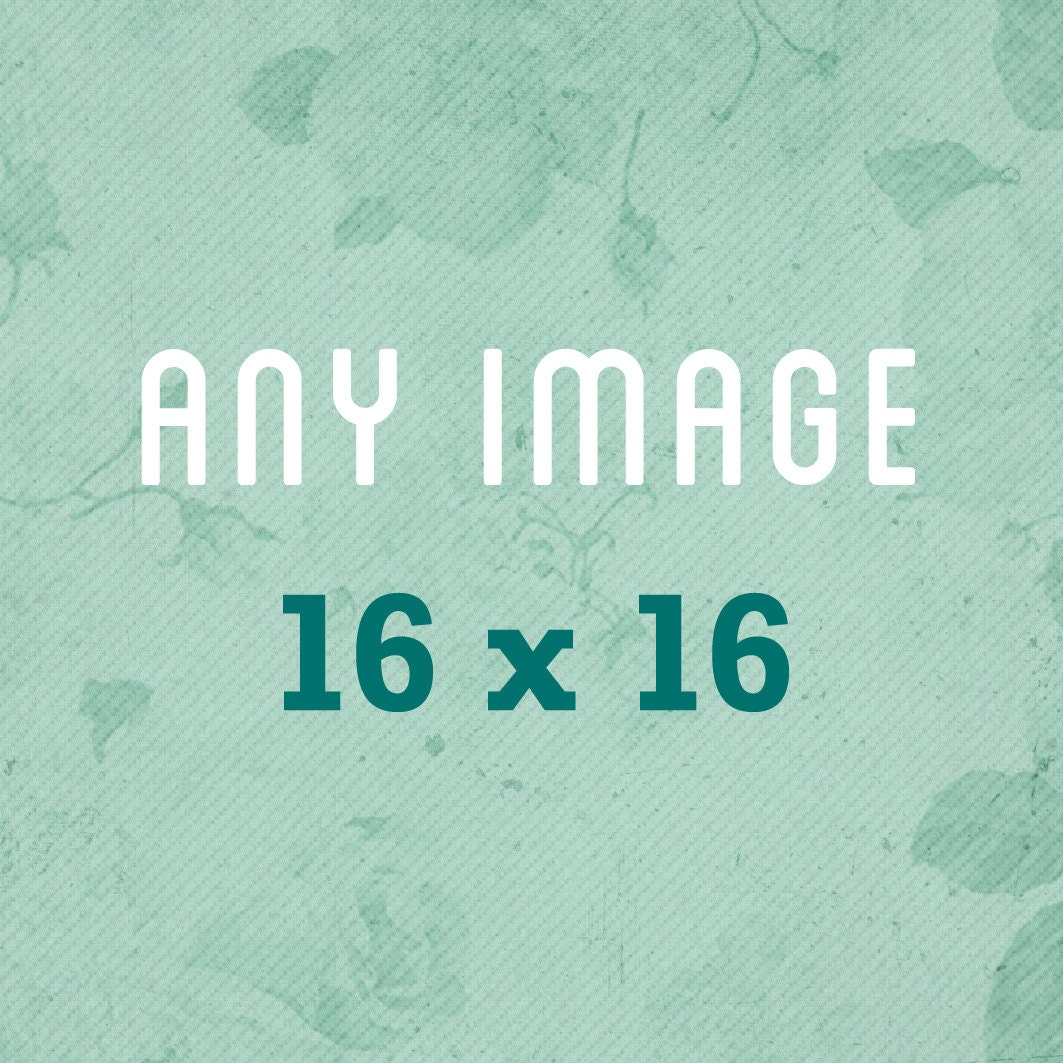Any Image At 16x16