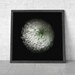 Floral Art Flowers Photography Botanical Print Minimal White Chrysanthemum