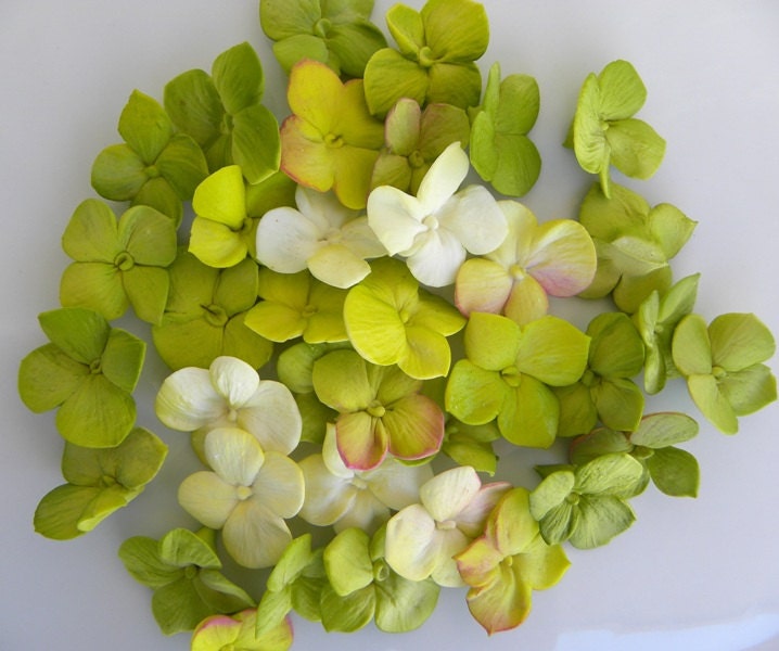 Fondant Hydrangea Petals Decoration 125 qty - any color for cupcakes, wedding cakes, birthday cakes, cupcake topper