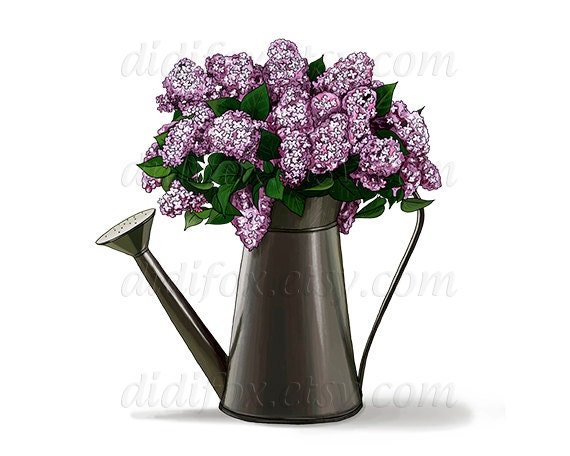 Llilac bouquet in vintage watering can - Printable Digital Illustration for Transfer Prints - Clipart ( 8x10), for DOWNLOAD. Item No.T0025