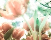 Flower Photography, Tulip Photography, Nursery Photography, Pink, Green, Pastel, Vintage, Wall Art, Decor, 8x10 Print, "Springtime"
