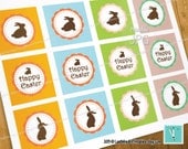 Easter Rabbit Bunny Circle Printable birthday label sticker photo collage clipart pattern invitation baby scrapbooking prop custom white boy