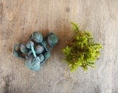 Textile necklace Silk Forest green blue aqua MOSS