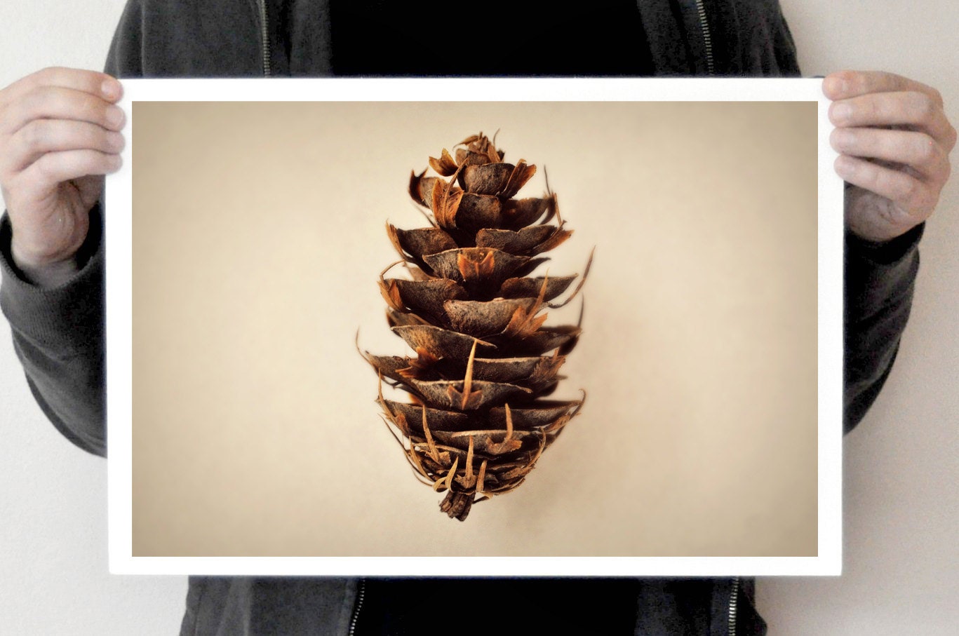Pine Cone, Dead Things, Brown, Bronze, Forest Finds, Nature, Trail Walk, Hiking, In to the Wild, In to the Woods, Earth, Miniature Xmas Tree
