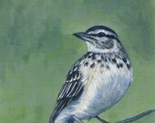 Lark