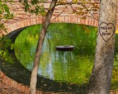 Personalized carved tree photography print, customized with couples names on tree - Valentines gift, wedding or anniversary present