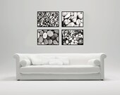 Pebbles and stones Prints Set of four