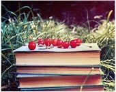 Spring time Fine art photography Still life print Cherry Kitchen decor Food artwork Color Nature photography Rustic decor Vintage Summer
