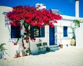 Greece print, travel photography, fine art photograph, Paros, Greek home, flowers, tree, blue, white, red, canvas option, frame option, 8x10
