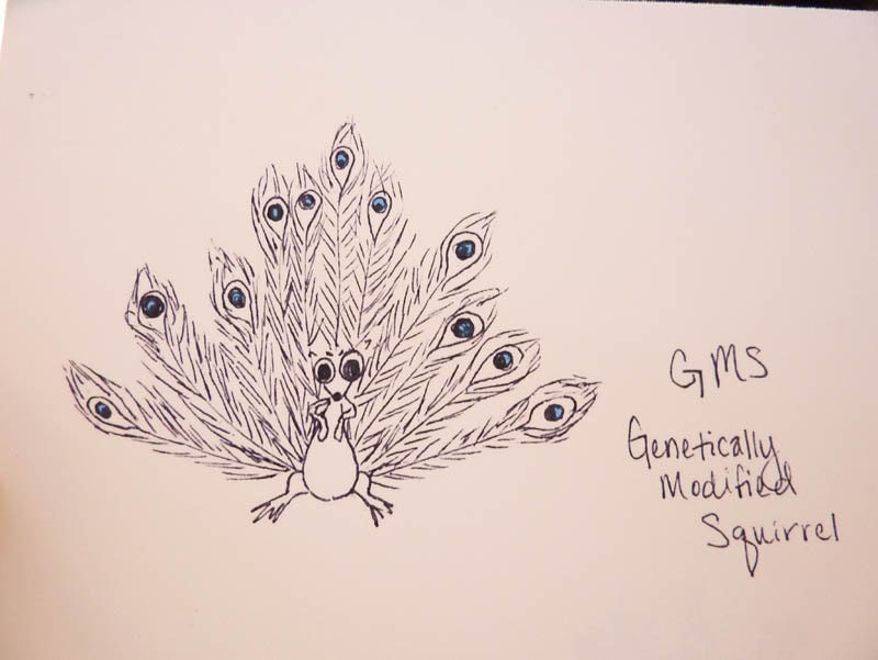 Funny Postcard "Genetically Modified Squirrel" by Squirrels Gone Wild
