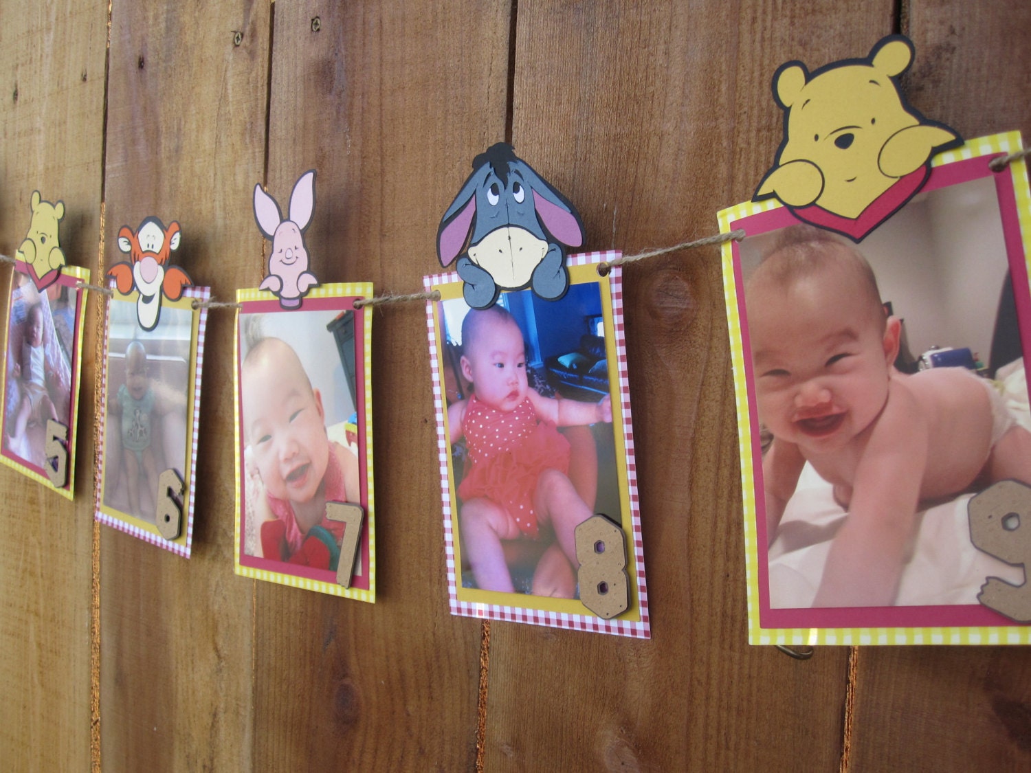 Winnie the Pooh 12 Month Photo Banner