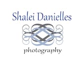 Premade Semi Custom Logo Design -- You choose your own colors to personalize and customize