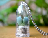 Cupids Heart Live Nature Plant Necklace. Mini Terrarium Necklace. Variety Chain Selection.
