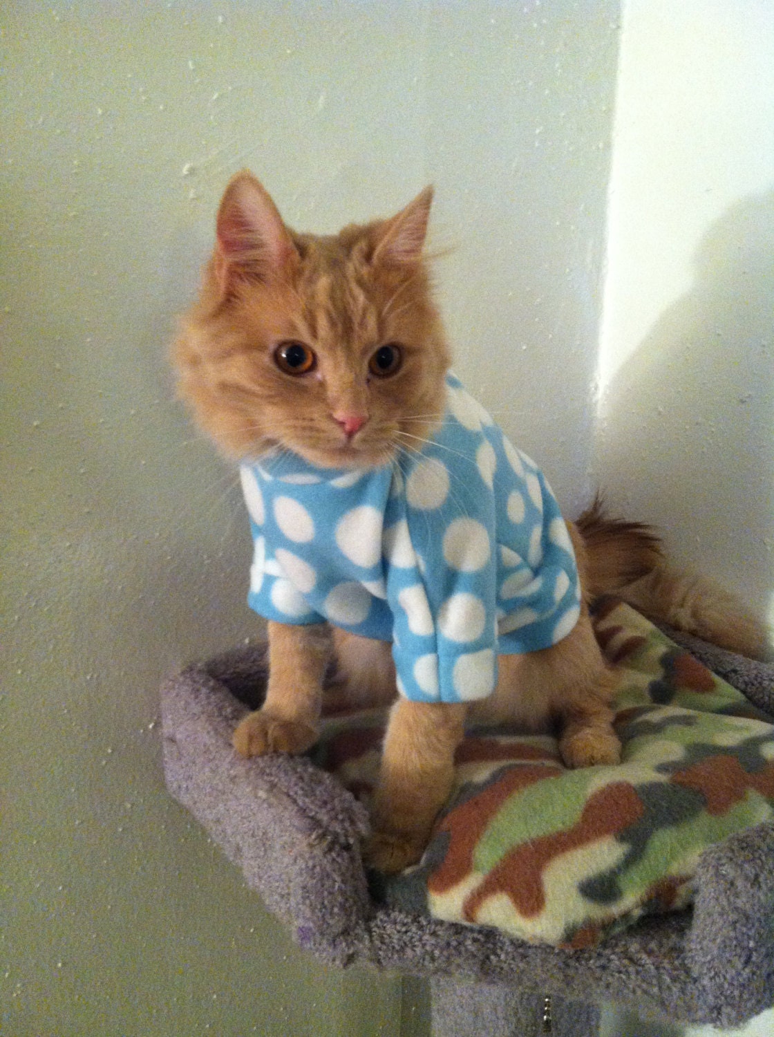 Sale-Blue, black or pink with white polka dot- sweater- cat clothes