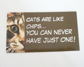 Funny tabby Cat Magnet : "Cats are like chips..you can never have just one". Size 2" x 3.5 " in brown
