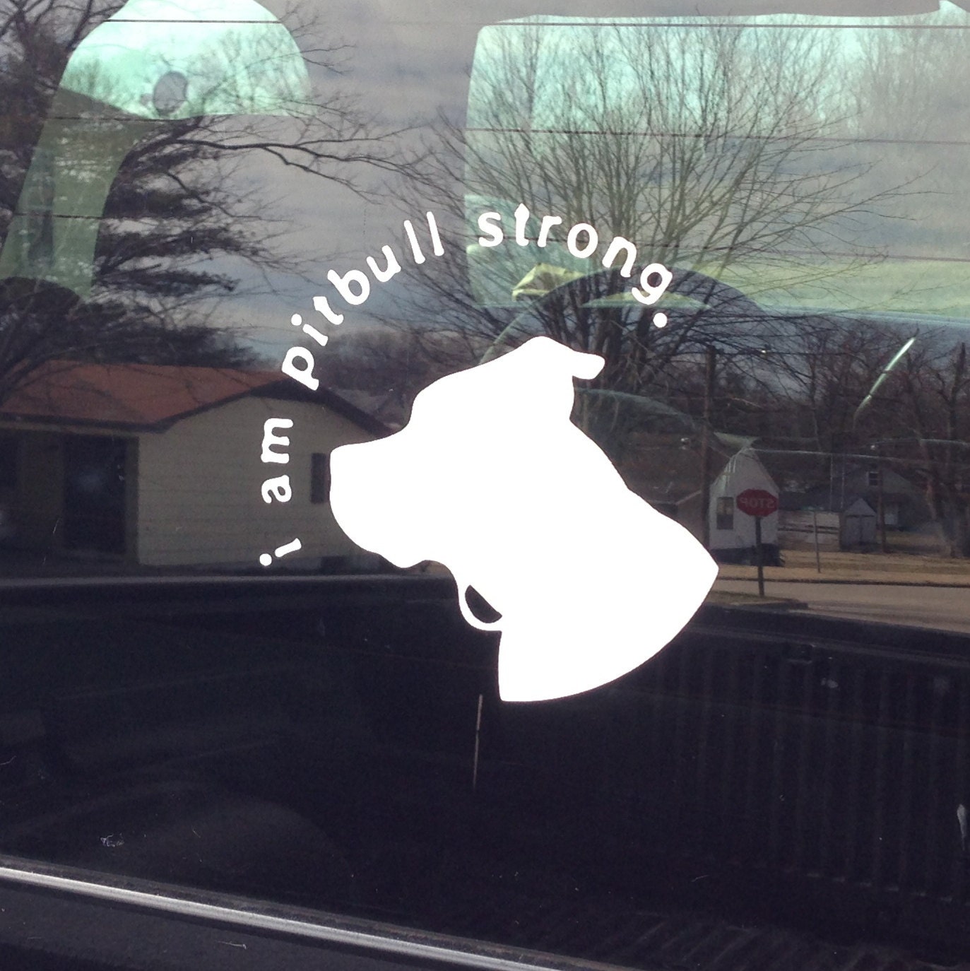 i am pitbull strong vinyl sticker 6x6 all money goes to Mac's Fund