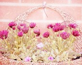 Spring cottage photography little purple flowers in basket chalk peach chalk pink shabby fine art wall décor  print 8x10