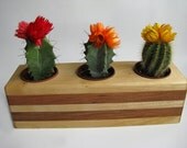 Handmade Wooden Flower pot BIRCH and BEECH wood Succulent grow pots Natural wood Outdoor Garden Pot Wedding gift Solid wood Woodworks