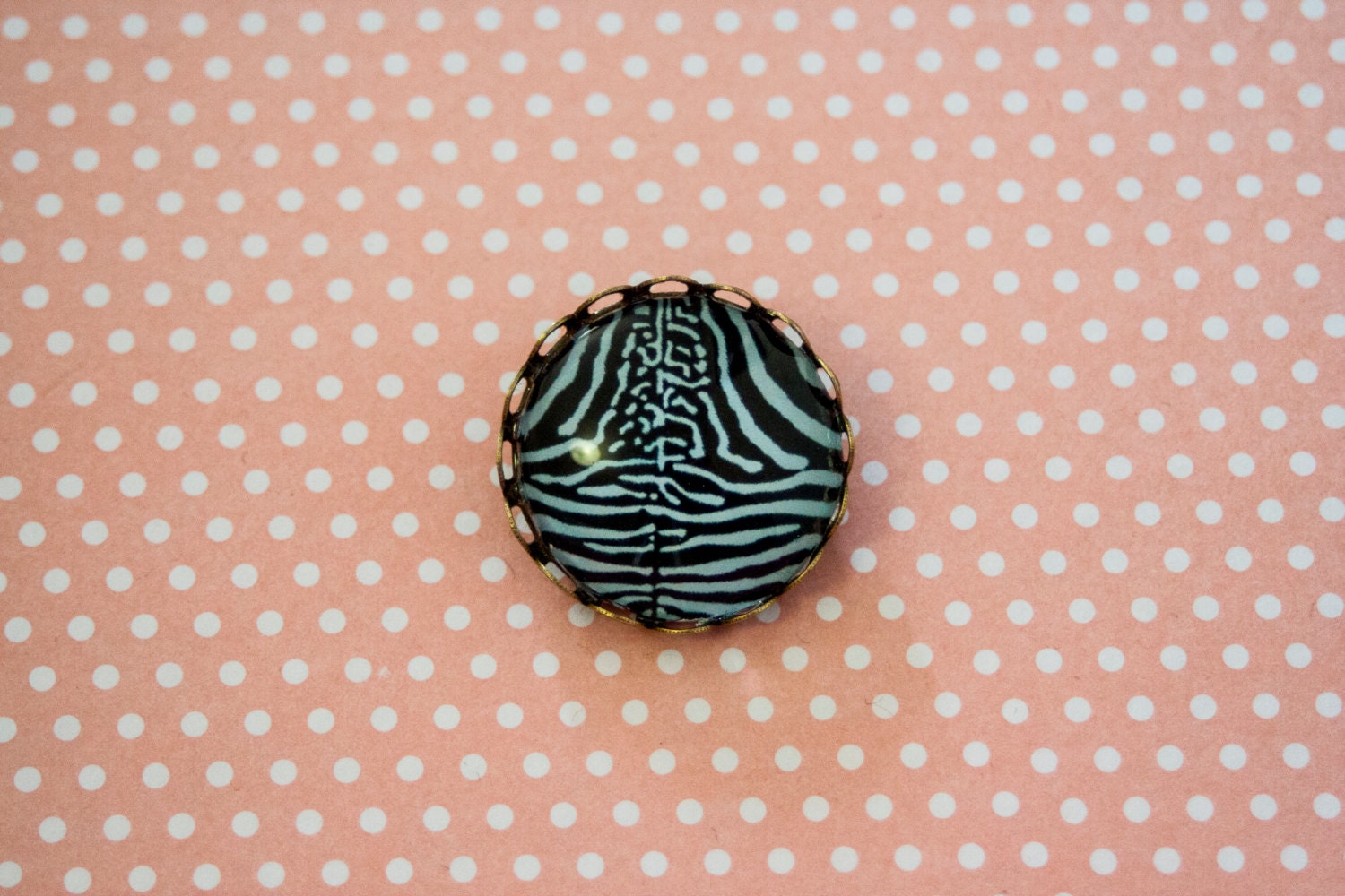 Light blue zebra brooch-cameo
