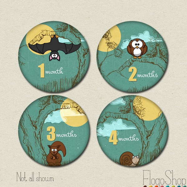 Baby monthly stickers PRINTABLE milestone bodysuit circles INSTANT DOWNLOAD animals newborn kids girls boys owl squirrel snail Il_170x135