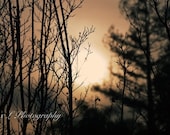 Sunset Photography - spring wall art prints nature photography sunset photography - 8x10 photography