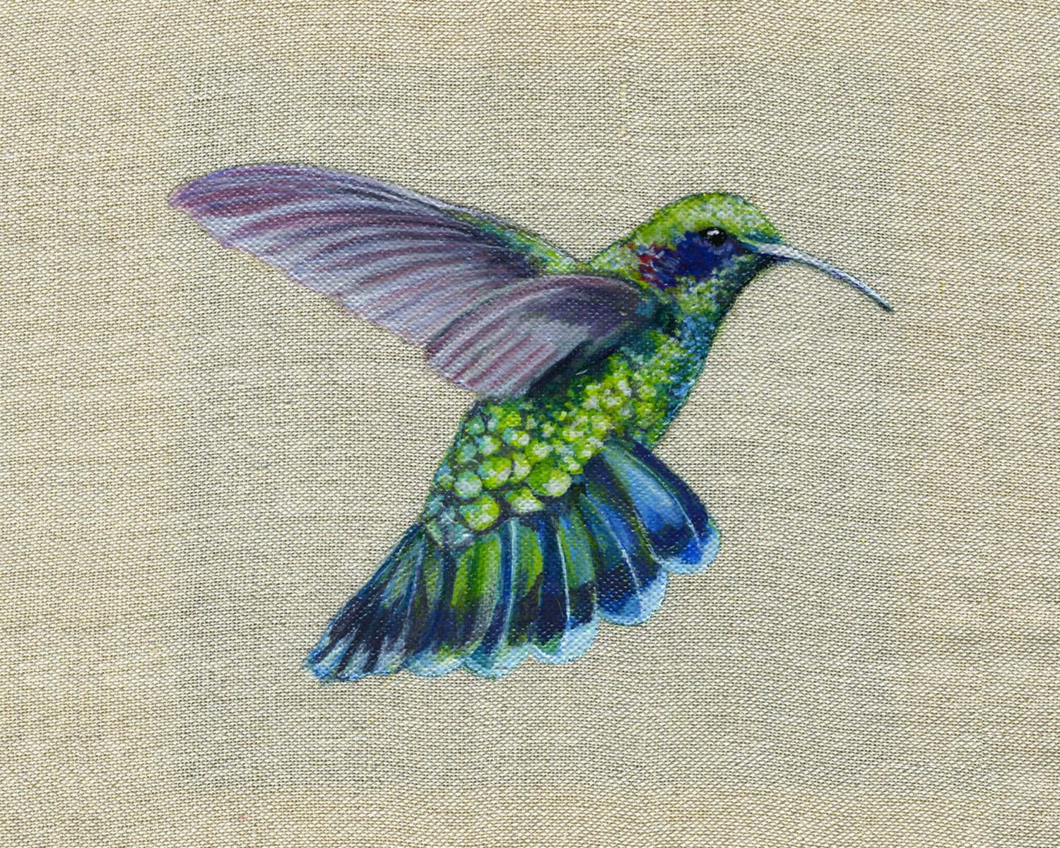 Hummingbird - Print of Original Painting on Irish Linen.  8x10 inches Art Print Bird Art Ireland