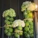 Hydrangea and apples centerpiece...Centerpiece...Mantle decor...Home Decor...Vase Decor...Rustic Wedding Decor...