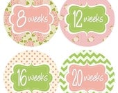 Weekly Pregnancy Stickers Baby Bump Sticker Week Belly Stickers Pink Green Floral Maternity Expectant Mom Pregnant Photo Prop - Jenny-R