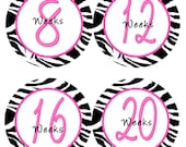 Weekly Pregnancy Stickers Baby Bump Stickers Week Belly Stickers Pink Black Zebra Strip Maternity Expectant Mom Pregnant Photo Prop Molly-1