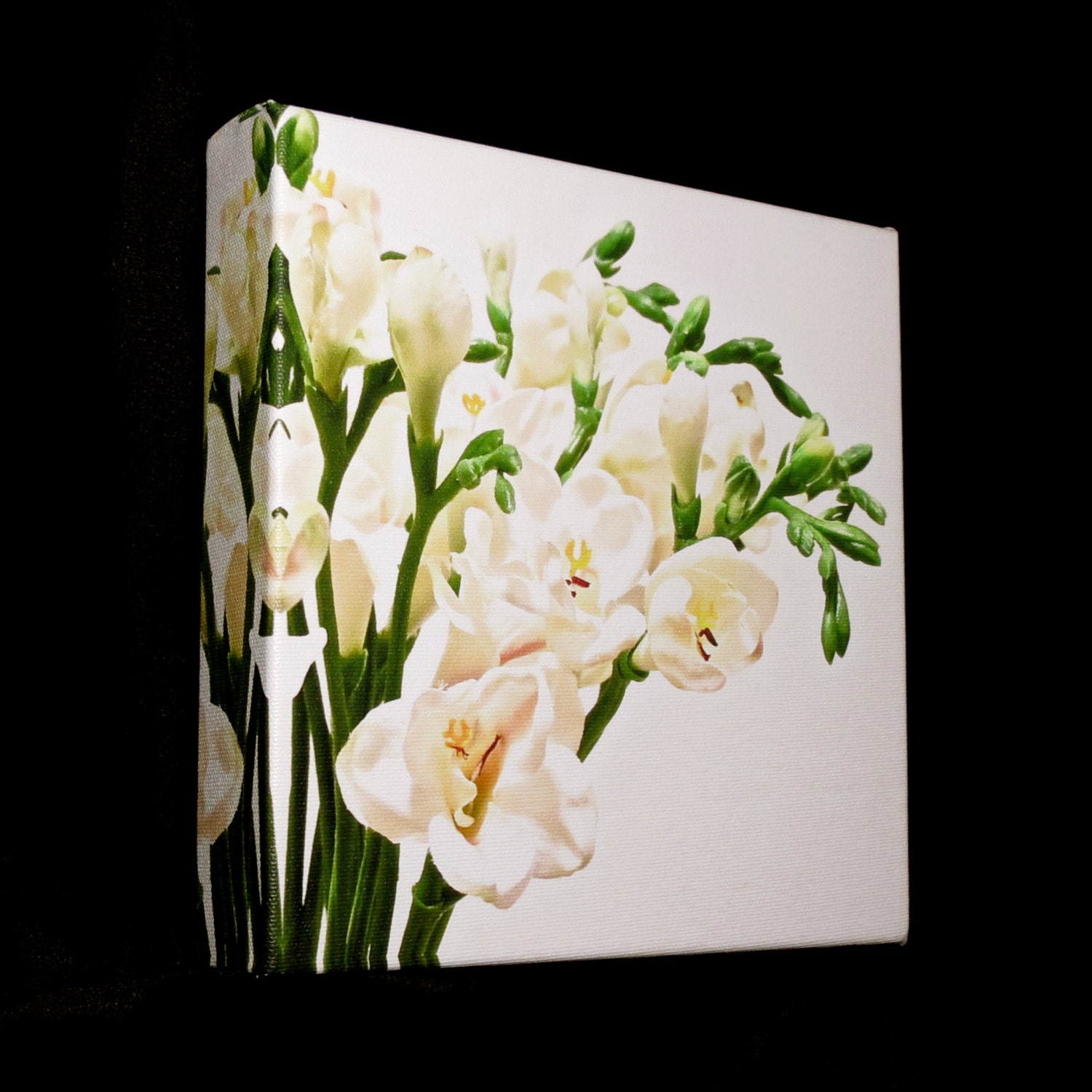 Freesia no. 7 -Original Art Photo- 8X8 Stretched Canvas