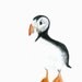 Original watercolor- Puffin