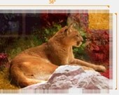 Large Modern Cougar Canvas Print (First Print)