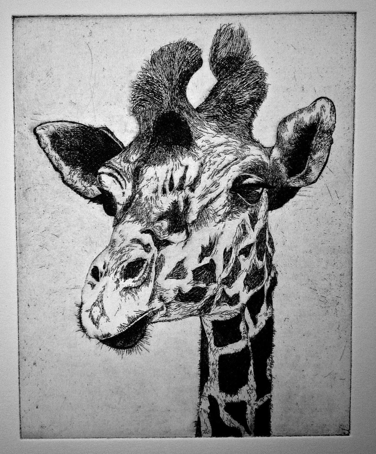 Handmade Etching Print of a Giraffe