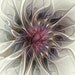 Willowy Mum