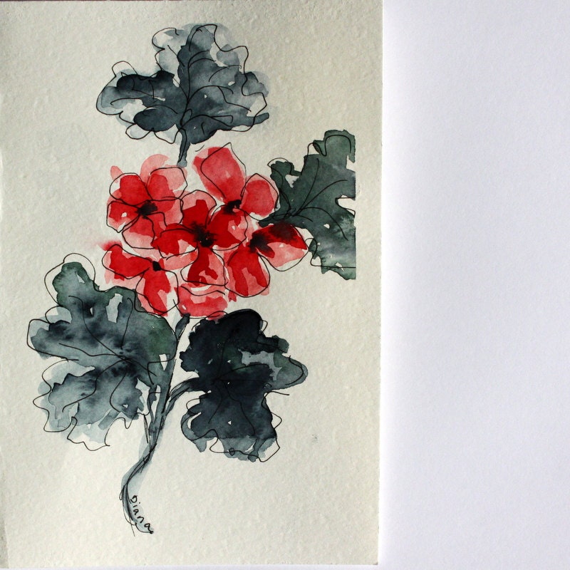 Scarlet geranium with grey blue leaves card