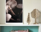 Mushrooms - Discount 13x19 Print - FREE SHIPPING Cap Dirt Cream White Brown Still Life Surreal Film Nature Grainy Natural
