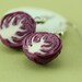 Red Cabbage Earrings