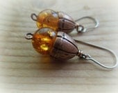 Acorn Earrings Amber surgical steel earwires