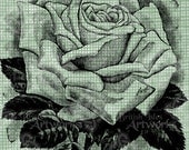 Digital Download Rose Sketch Antique Illustration image c. 1900, digi stamp, digis, digital stamp, Elegant, and beautiful
