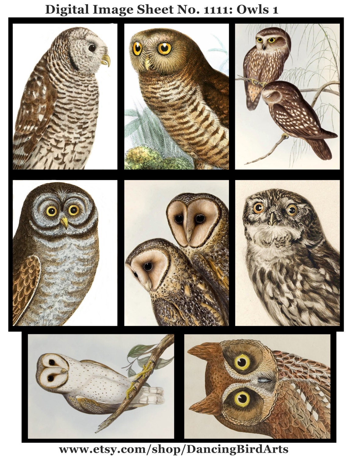 Vintage Owls 1, INSTANT DOWNLOAD, ATC size digital collage sheet jpg