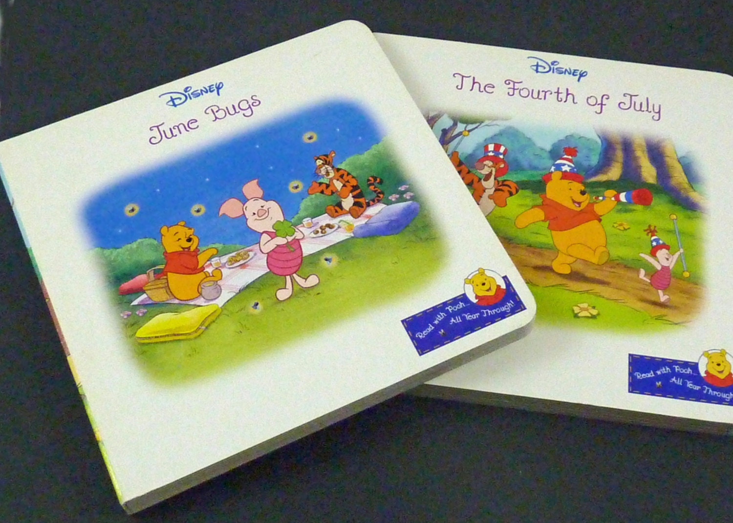 Two Winnie the Pooh Disney board books summer childrens story supplies wall hangings