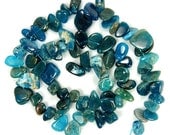 8 x 13mm Natural Apatite Nugget/Chip Semi Precious Gemstone Beads, 33pcs