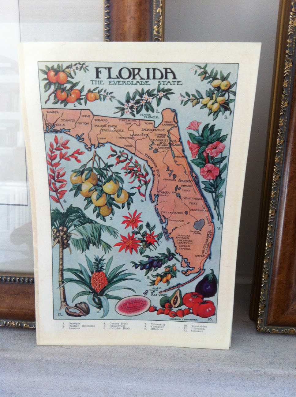 1912 vintage FLORIDA illustrated map  - colorful and lovely