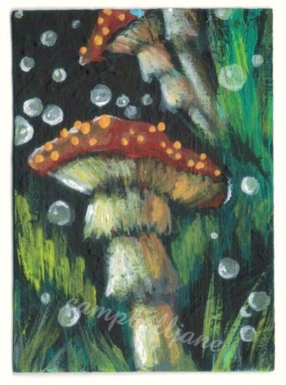 Whimsical Mushrooms Signed Print Botanical Garden Print Toadstool Fungi
