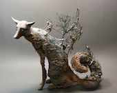 The Fox's Curiosity