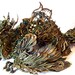 CUSTOM ORDER- Personal Creature