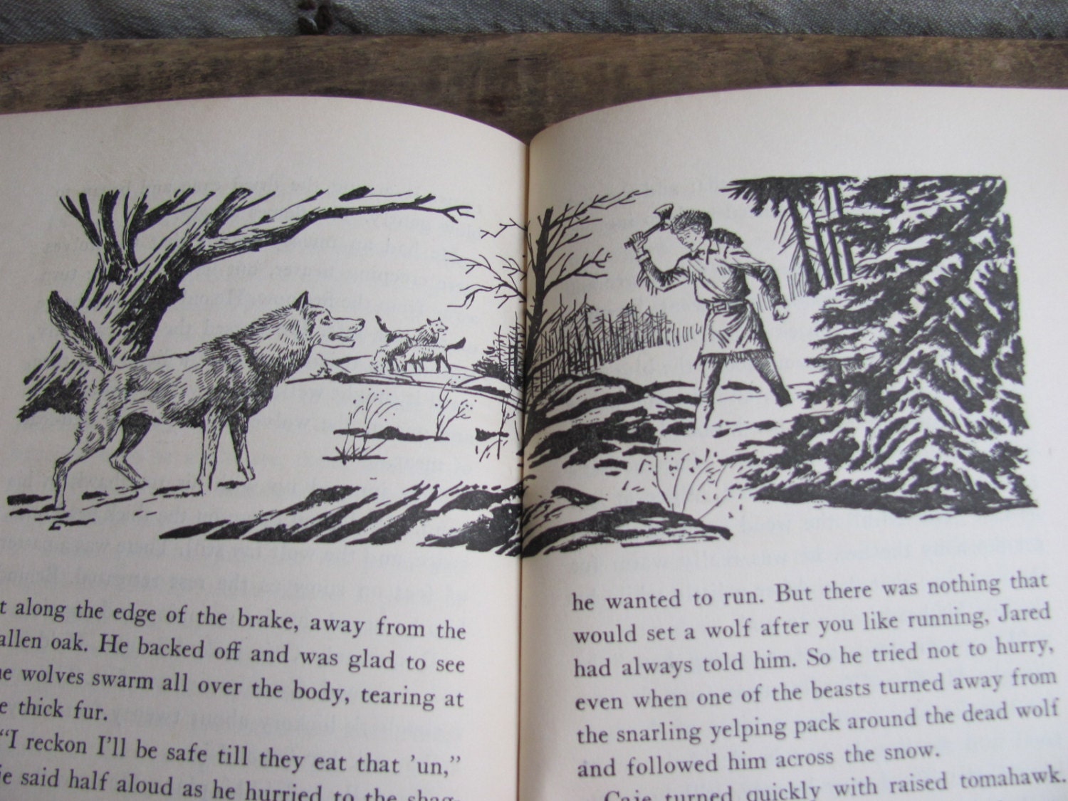Winter Danger // vintage 1950s childrens book